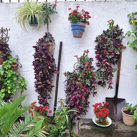 Casa Tenorio Barrio De Santa Cruz Sewilla Zewnętrze zdjęcie