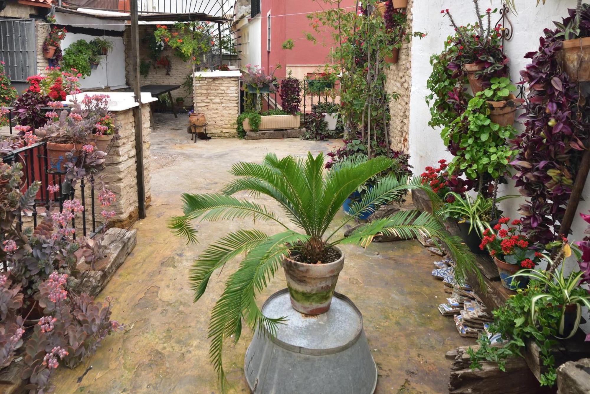Casa Tenorio Barrio De Santa Cruz Sewilla Zewnętrze zdjęcie
