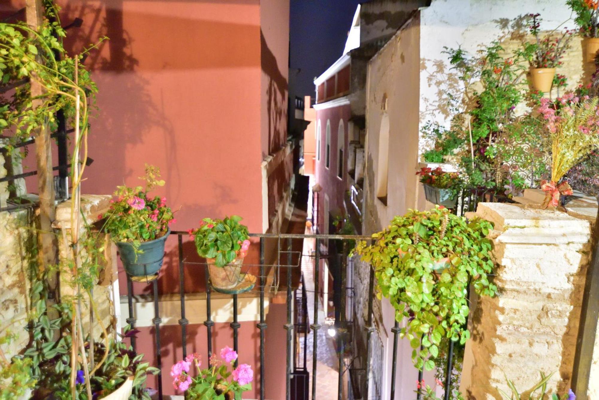 Casa Tenorio Barrio De Santa Cruz Sewilla Zewnętrze zdjęcie