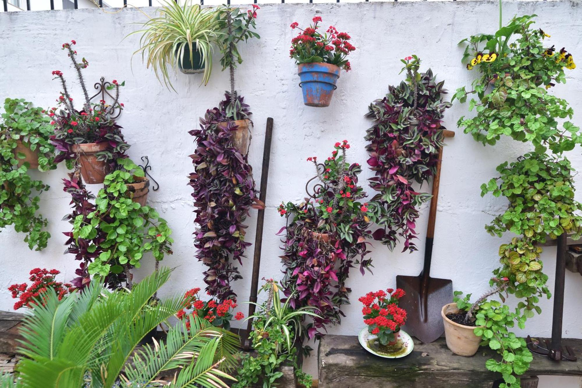 Casa Tenorio Barrio De Santa Cruz Sewilla Zewnętrze zdjęcie